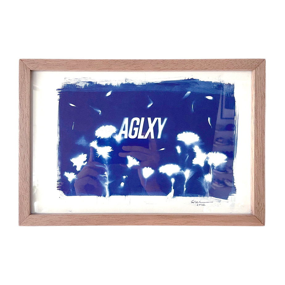 Aglxy x Blue : Cyanotype Print A5