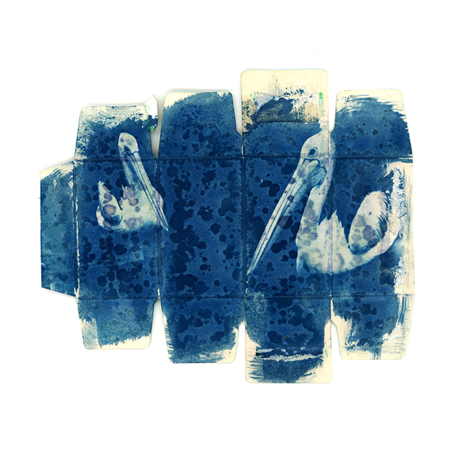 Aglxy x Blue : Cyanotype Print A5