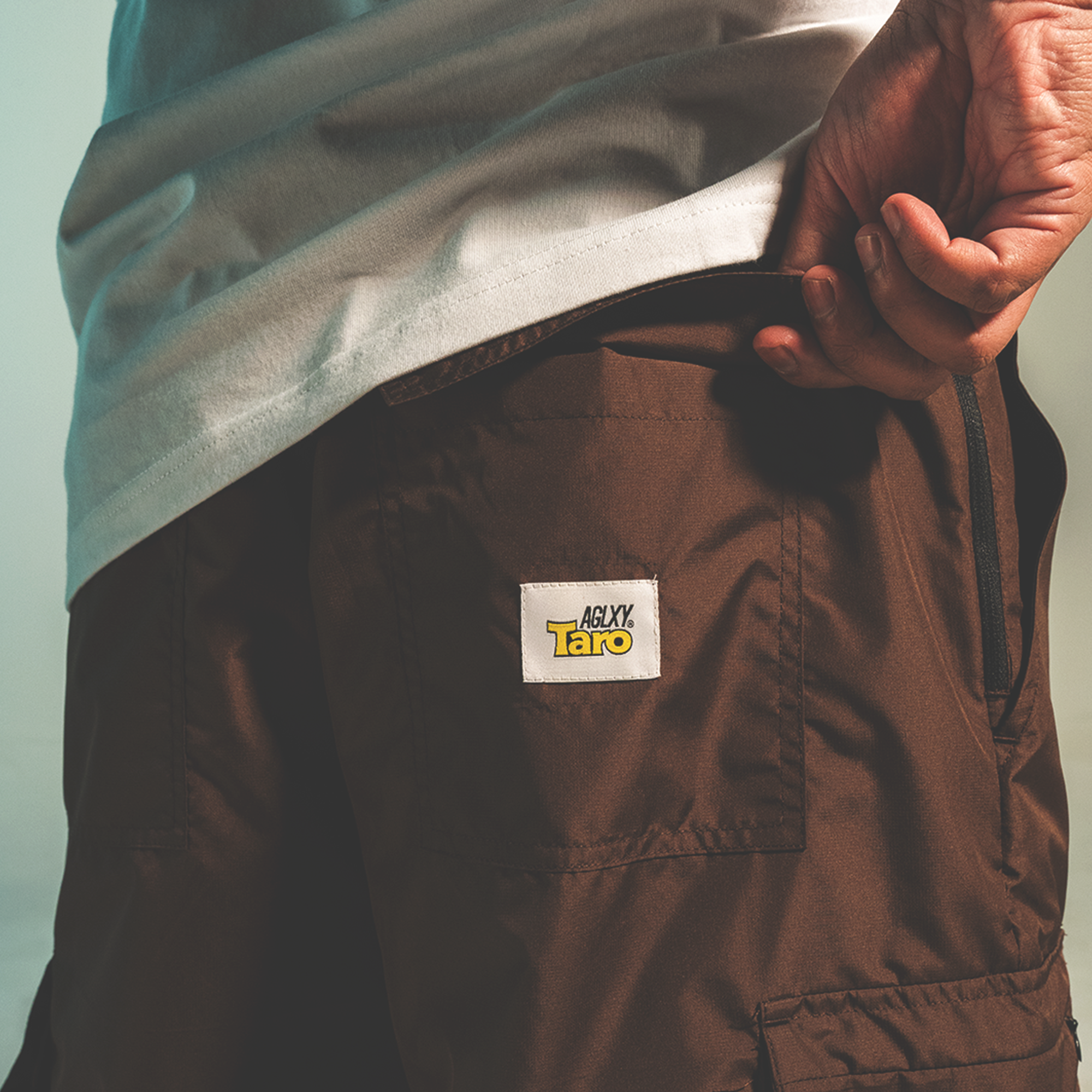 AGLXY x TARO Cargo Pants - Brown