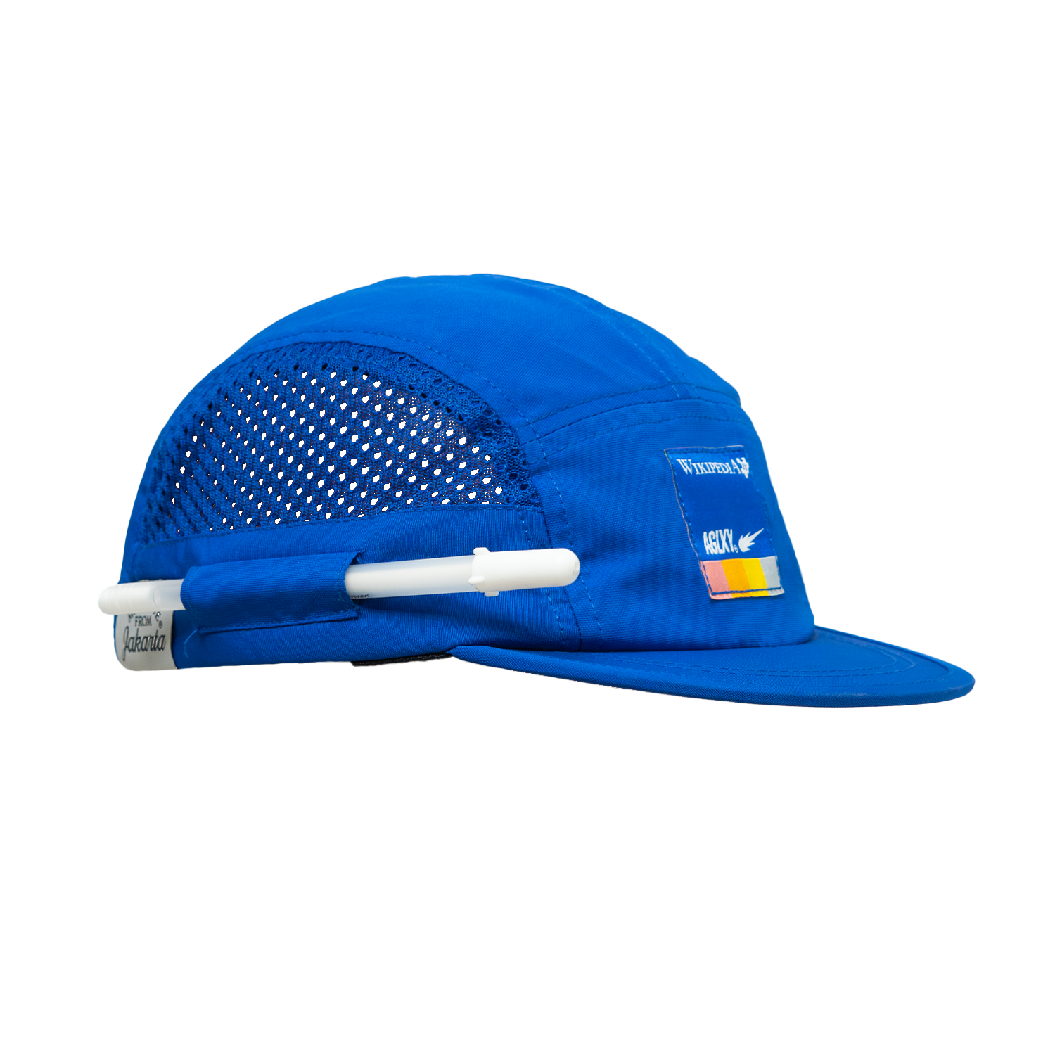 AGLXY x Wikipedia 25 Hat - Blue