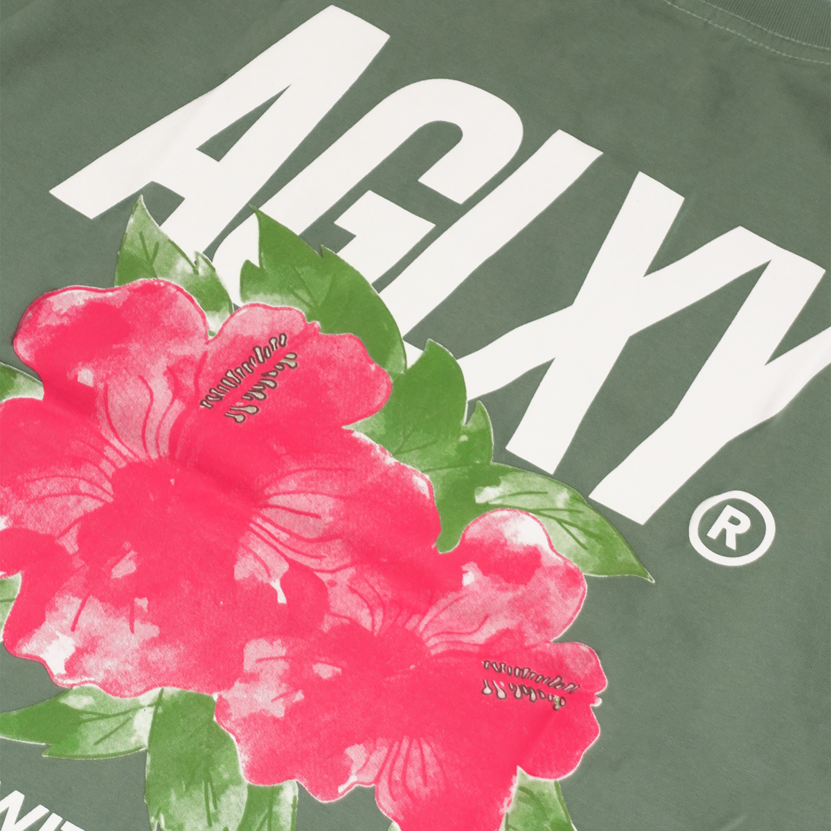 AGLXY Hibiscus 022 - Granite Green