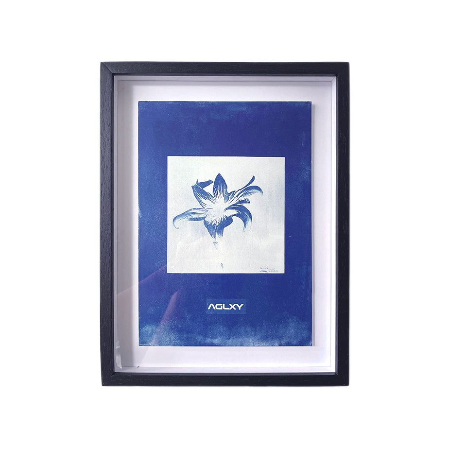 Aglxy x Blue : Cyanotype Print A4