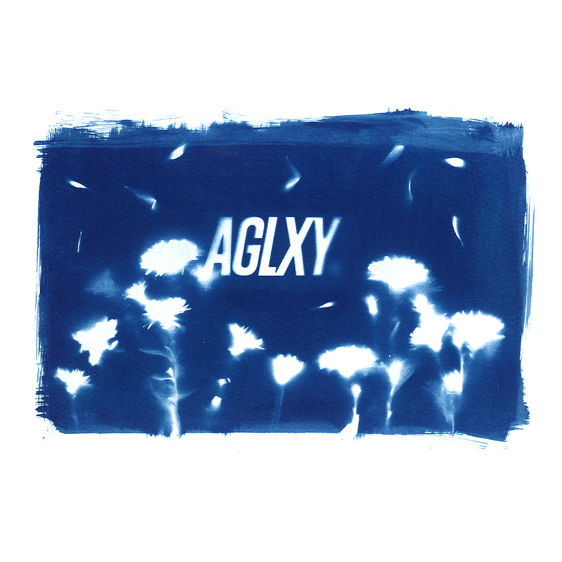 Aglxy x Blue : Cyanotype Print A5